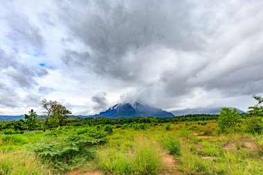Dağlar. Bulutlu Dağları Kuzey Tayland