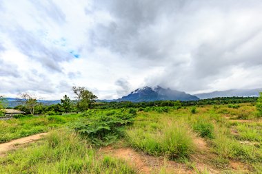 Dağlar. Bulutlu Dağları Kuzey Tayland