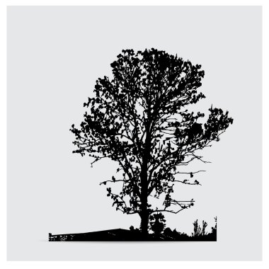 ağaç siluet vektör