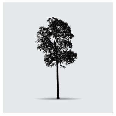 ağaç siluet vektör