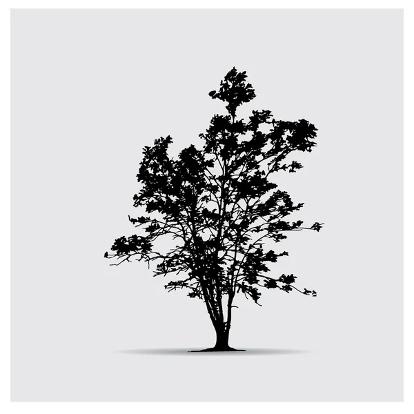 Sílhueta de árvore vetorial —  Vetores de Stock