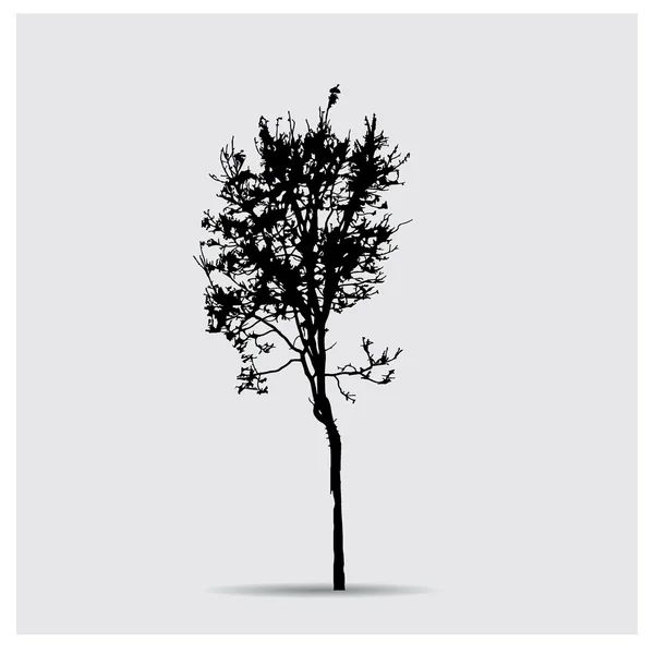 Sílhueta de árvore vetorial — Vetor de Stock
