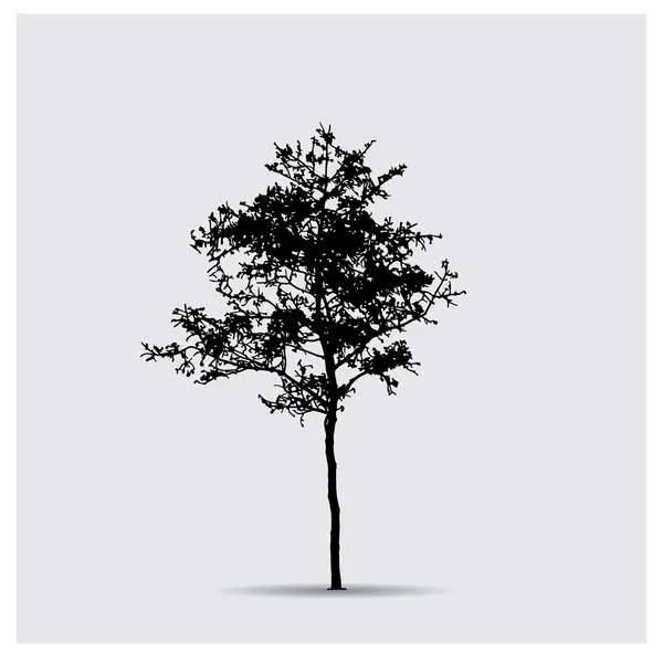 Sílhueta de árvore vetorial —  Vetores de Stock
