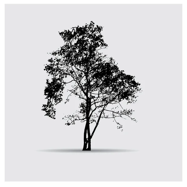 Vektor träd silhouette — Stock vektor