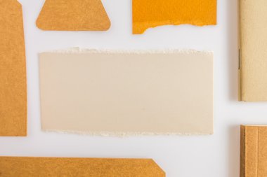 Çeşitli kağıt, karton, etiket, kart ve kitap koleksiyonu.