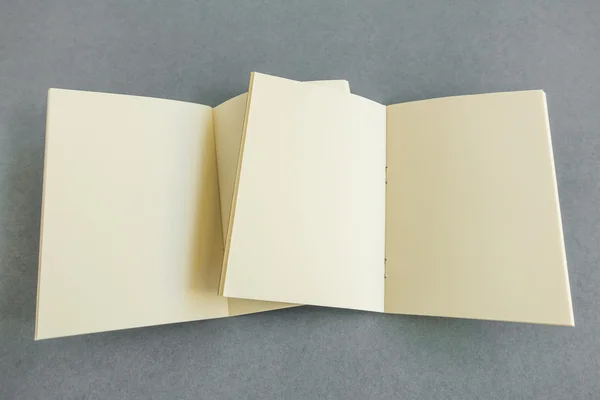 Boş Katalog Dergi Yumuşak Gölgeli Kitap Şablonu Tasarımınız Için Hazır — Stok fotoğraf