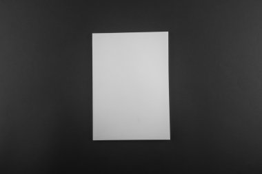 Boş katalog, dergi, yumuşak gölgeli kitap şablonu. Tasarımınız için hazır.