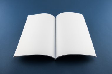 Boş katalog, dergi, yumuşak gölgeli kitap şablonu. Tasarımınız için hazır.
