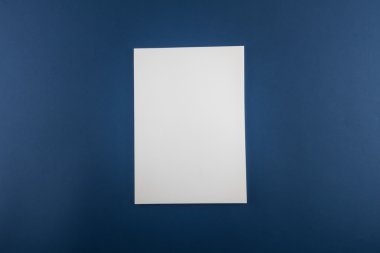 Boş katalog, dergi, yumuşak gölgeli kitap şablonu. Tasarımınız için hazır.