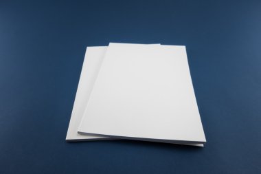 Boş katalog, dergi, yumuşak gölgeli kitap şablonu. Tasarımınız için hazır.