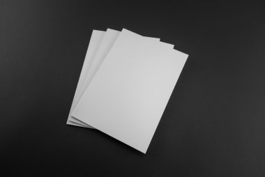 Boş katalog, dergi, yumuşak gölgeli kitap şablonu. Tasarımınız için hazır.