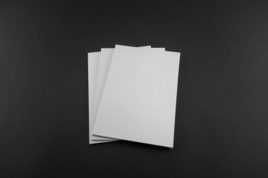 Boş katalog, dergi, yumuşak gölgeli kitap şablonu. Tasarımınız için hazır.