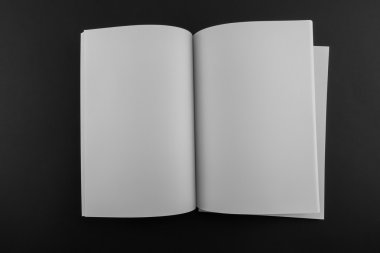 Boş katalog, dergi, yumuşak gölgeli kitap şablonu. Tasarımınız için hazır.