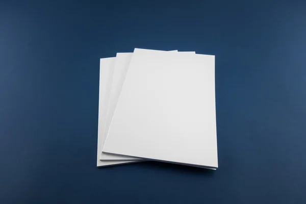 Boş katalog, dergi, yumuşak gölgeli kitap şablonu. Tasarımınız için hazır.