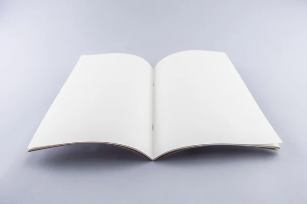 Boş katalog, dergi, yumuşak gölgeli kitap şablonu. Tasarımınız için hazır.