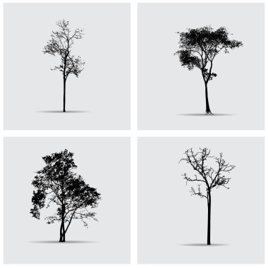 Vektör ağaç siluetleri kümesi.