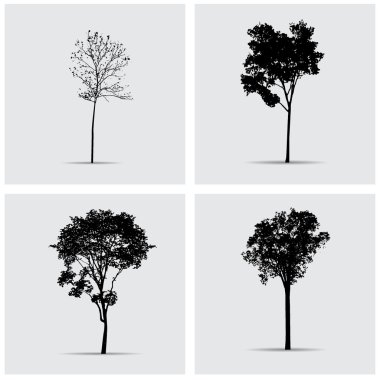 Vektör ağaç siluetleri kümesi.