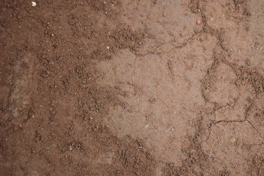 Kahverengi toprağın yakın çekim dokusu doğal toprak şekillerini, ince tanecikleri, çatlakları ve organik elementleri gösteriyor. Bu yüksek çözünürlüklü zemin arka plan çevre temaları, tarım, bahçıvanlık, jeoloji, ekoloji, doğa çalışmaları ve doku için idealdir. 