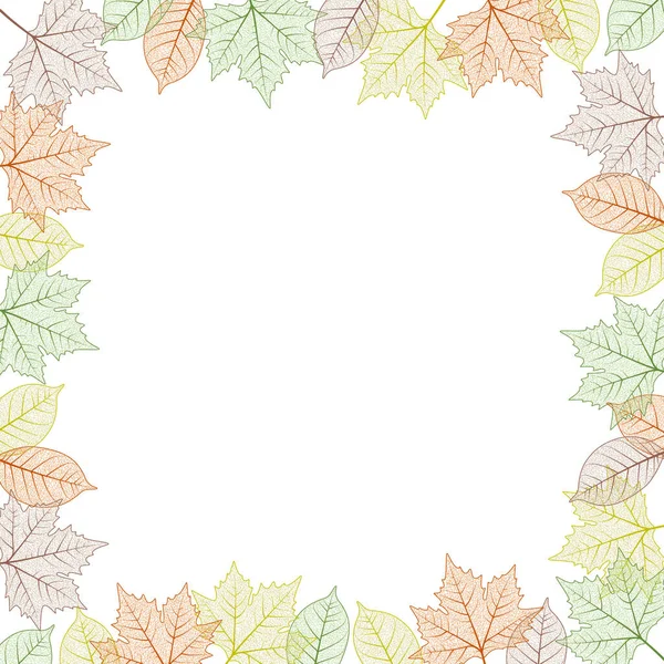 Esdoorn Blad Frame Vector Illustratie Herfst Kleuren Grafische Kaart Template — Stockvector