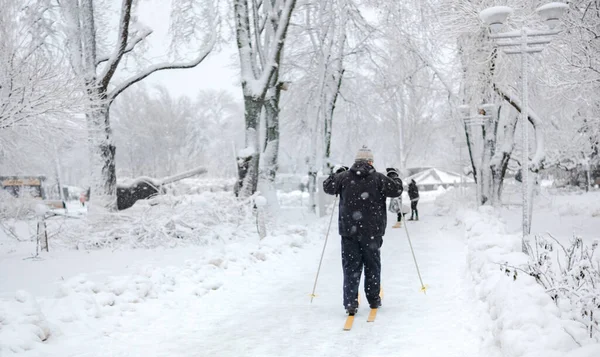 Ormanda dikkatsiz bir kayakçı. Fotoğraf arkadan.