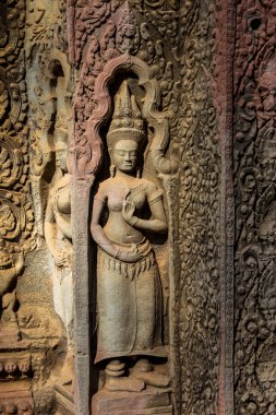 Apsaras Ta Prohm Tapınağı, Kamboçya'daki duvarda eski bir Khmer sanat oymalar