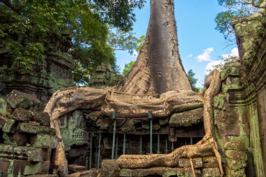 Ta Prohm Tapınağı, Kamboçya'daki antik mimari