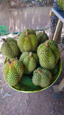 Durian, meyve Tayland Kralı