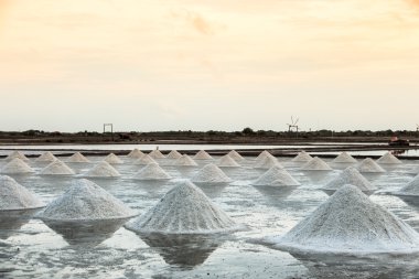  Manzara tuz grubundan