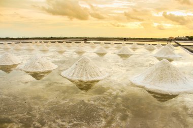 Beautiful landscape of a summer with a salt farm in Thailand clipart