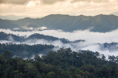 Güzel deniz sis, Tayland Krachan Kaeng Milli Parkı