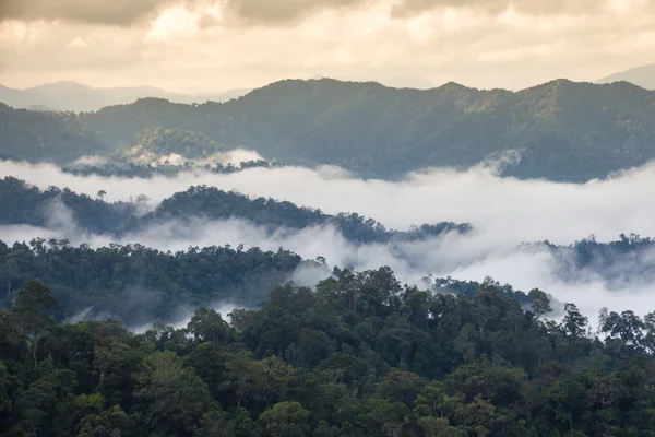 Bellissima nebbia marina al Kaeng Krachan National Park in Thailandia Immagine Stock