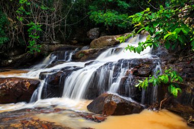 Tayland turuncu şelale