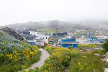 Qaqortoq Grönland 'da Sisli Yaz Sabahı