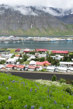 Yaz Dağları 'nın altındaki İzlanda' nın Sessiz Kasabası 'nda Huzur Bulun