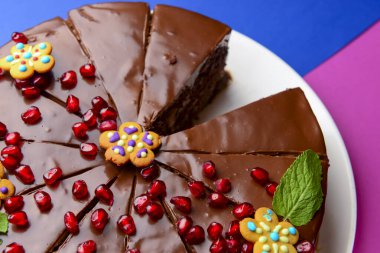 Nane yaprakları ve nar tohumlarıyla süslenmiş Noel pastası. Çikolata soslu siyah çikolatalı pasta. Renkli pembe ve mavi arkaplanda.