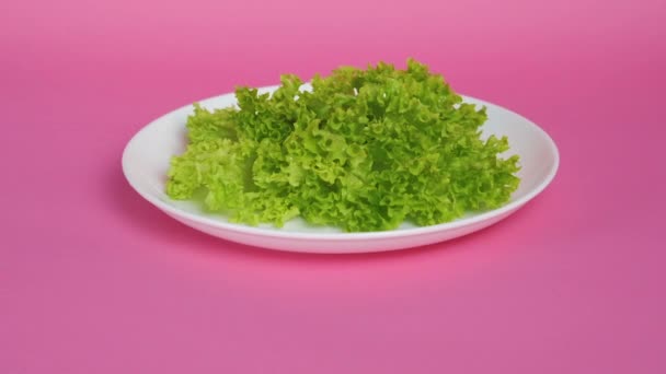 Close Shot Green Lettuce Leaves Lush Water White Plate Bright — Stock Video