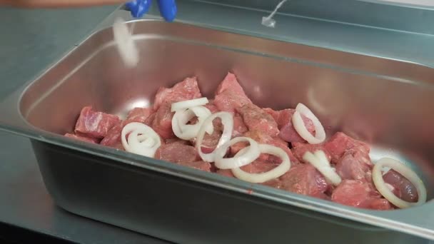 Nærbillede af råt kød udskåret i stykker til shashlik eller shish kebab drysset med havsalt og andre krydderier i metalbakker. – Stock-video