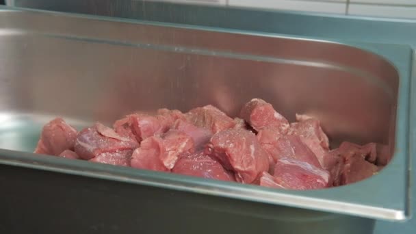 Detailní záběr syrového masa nakrájeného na kousky pro shashlik nebo shish kebab posypaného mořskou solí a dalším kořením v kovovém podnosu. — Stock video