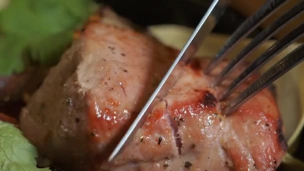 Feche de shashlik torrado na chapa. Churrasco suculento na mesa. Dentro, comendo shashlyk com faca e garfo. — Vídeo de Stock