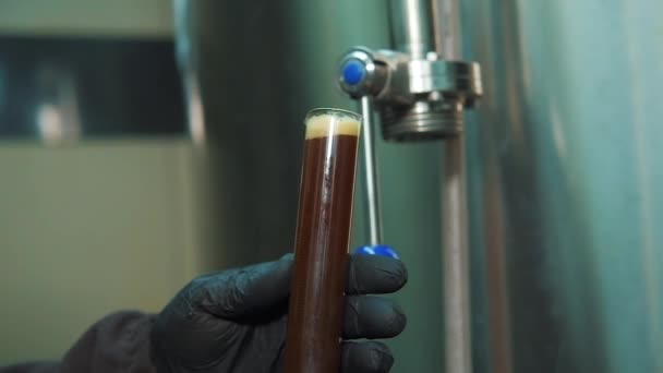Pivní Výroba Pivovarnictví Pivovar Dělám Místní Řemeslné Pivo Uzavření Výrobního — Stock video