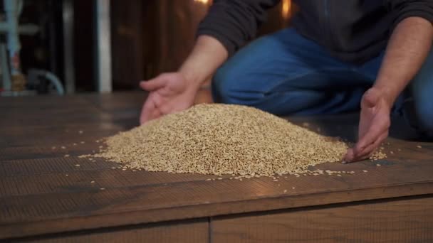 Battre Les Matières Premières Pour Bière Mains Air Malt Fabrication — Video