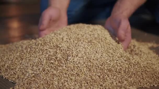 Battre Les Matières Premières Pour Bière Mains Air Malt Fabrication — Video
