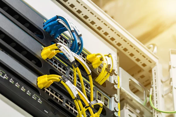 Network switch och Ethernet-kablar — Stockfoto