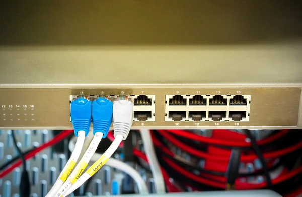 Hálózati kapcsoló és ethernet kábelek — Stock Fotó