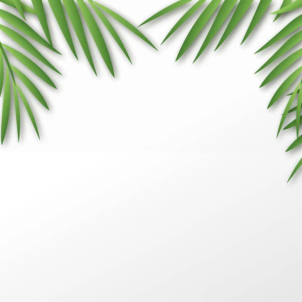 Cadre Carré Tropical Avec Feuilles Palmier Vecteur — Image vectorielle