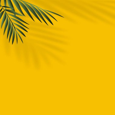 Tropik yaprakların gölgesi altında yaz arkaplanı. Vektör.