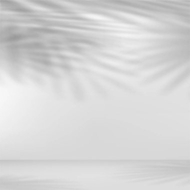 Yaprakların gölgesi ile sunum için soyut arkaplan. Vektör illüstrasyonu.