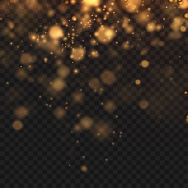Abstract Gold Bokeh Lights Effect on Transparent Background Overlay. Vector illustration