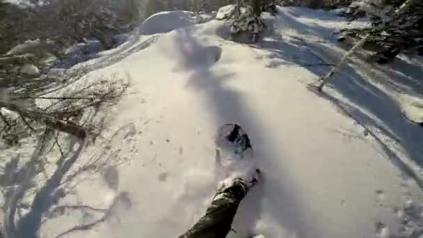 Snowboarder cavalca attraverso le montagne Vista in prima persona, snowboarder decolla il suo cavallo presso la fotocamera attaccata alla testa — Video Stock