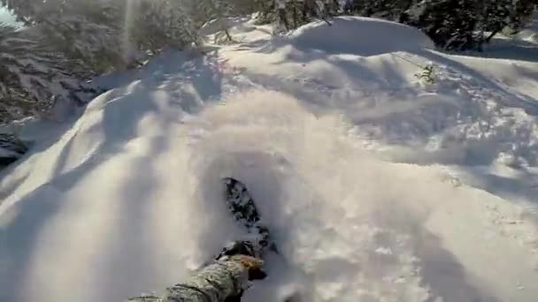 Snowboarder cavalca attraverso le montagne Vista in prima persona, snowboarder decolla il suo cavallo presso la fotocamera attaccata alla testa — Video Stock